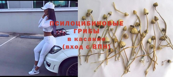 дживик Дмитровск