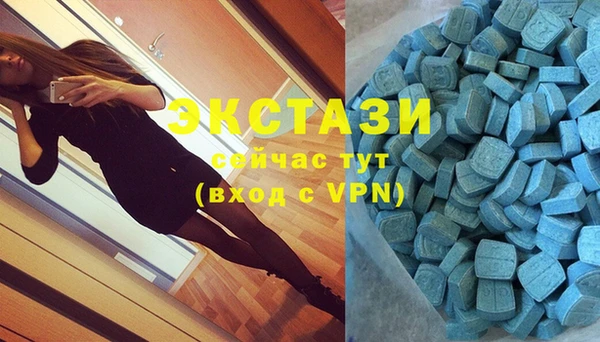 прущие грибы Елизово
