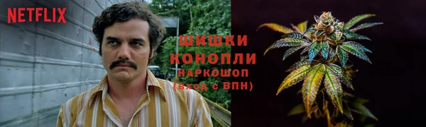 дживик Дмитровск