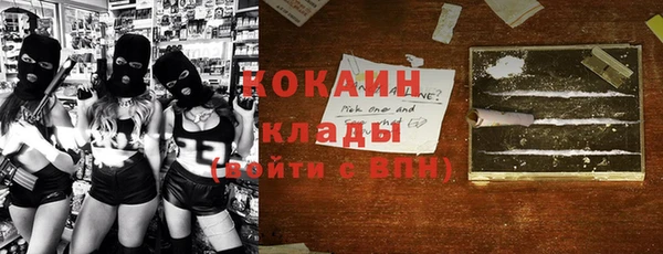 прущие грибы Елизово