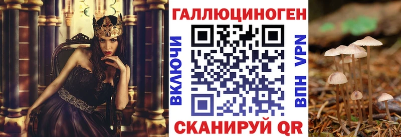 Галлюциногенные грибы MAGIC MUSHROOMS  Купить  Суворов 