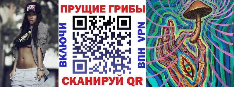 Псилоцибиновые грибы Psilocybe Суворов